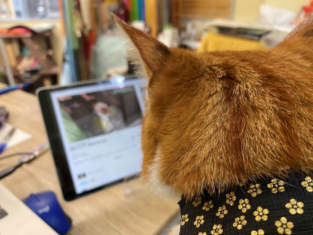 かみちゃんと一緒