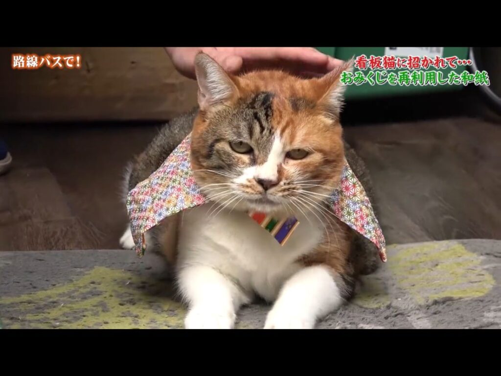 テレビの中のかみちゃん
