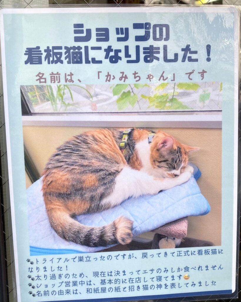 実際のポスター