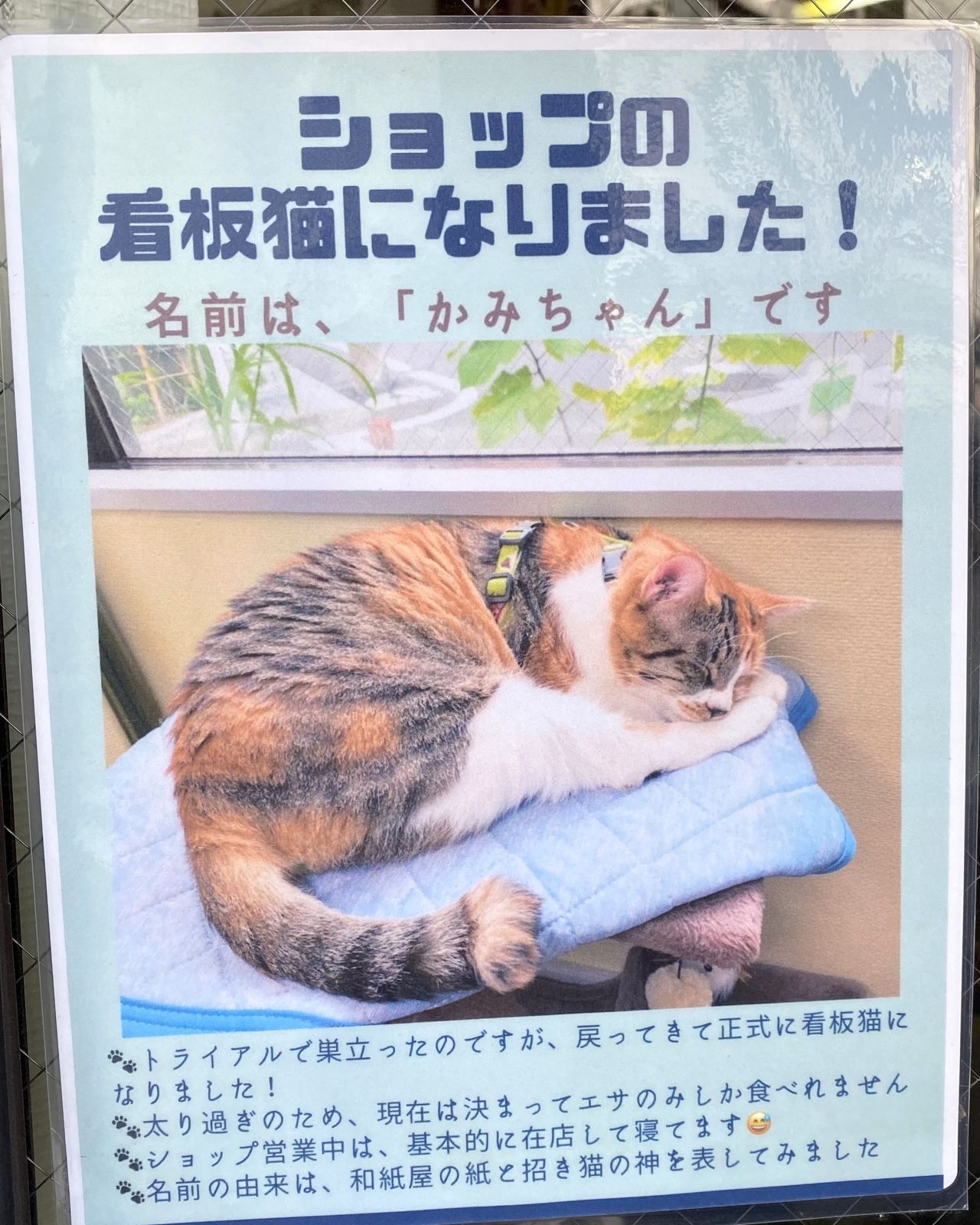 実際のポスター