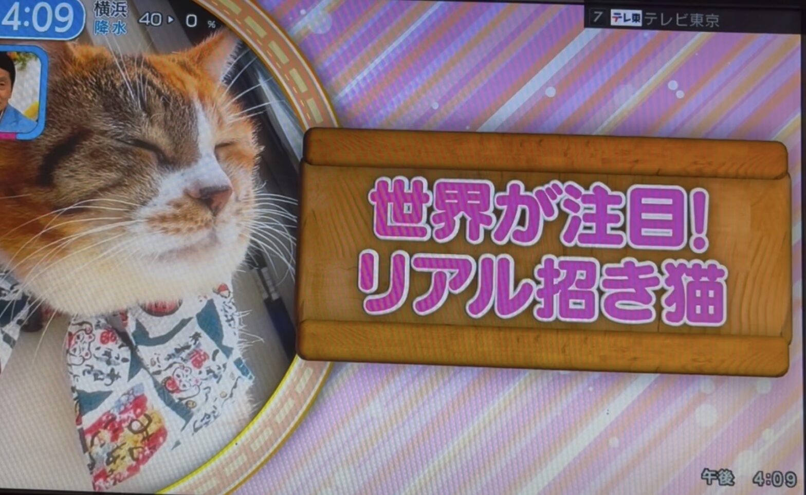 よじごじDays紹介