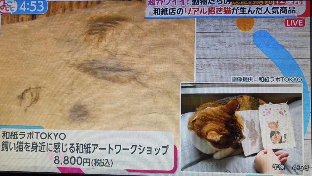 看板猫の毛入り和紙ワークショップ