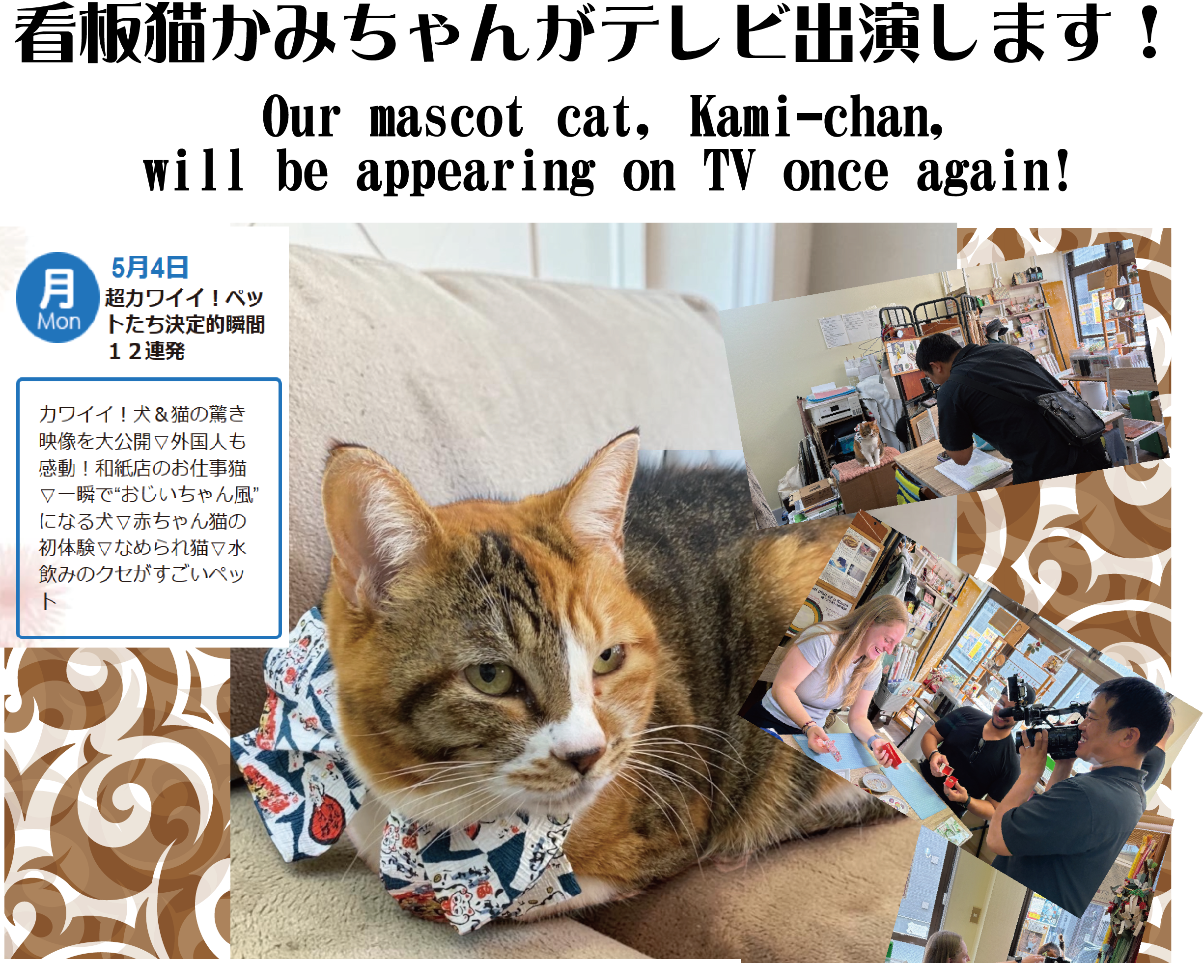 告知用チラシ